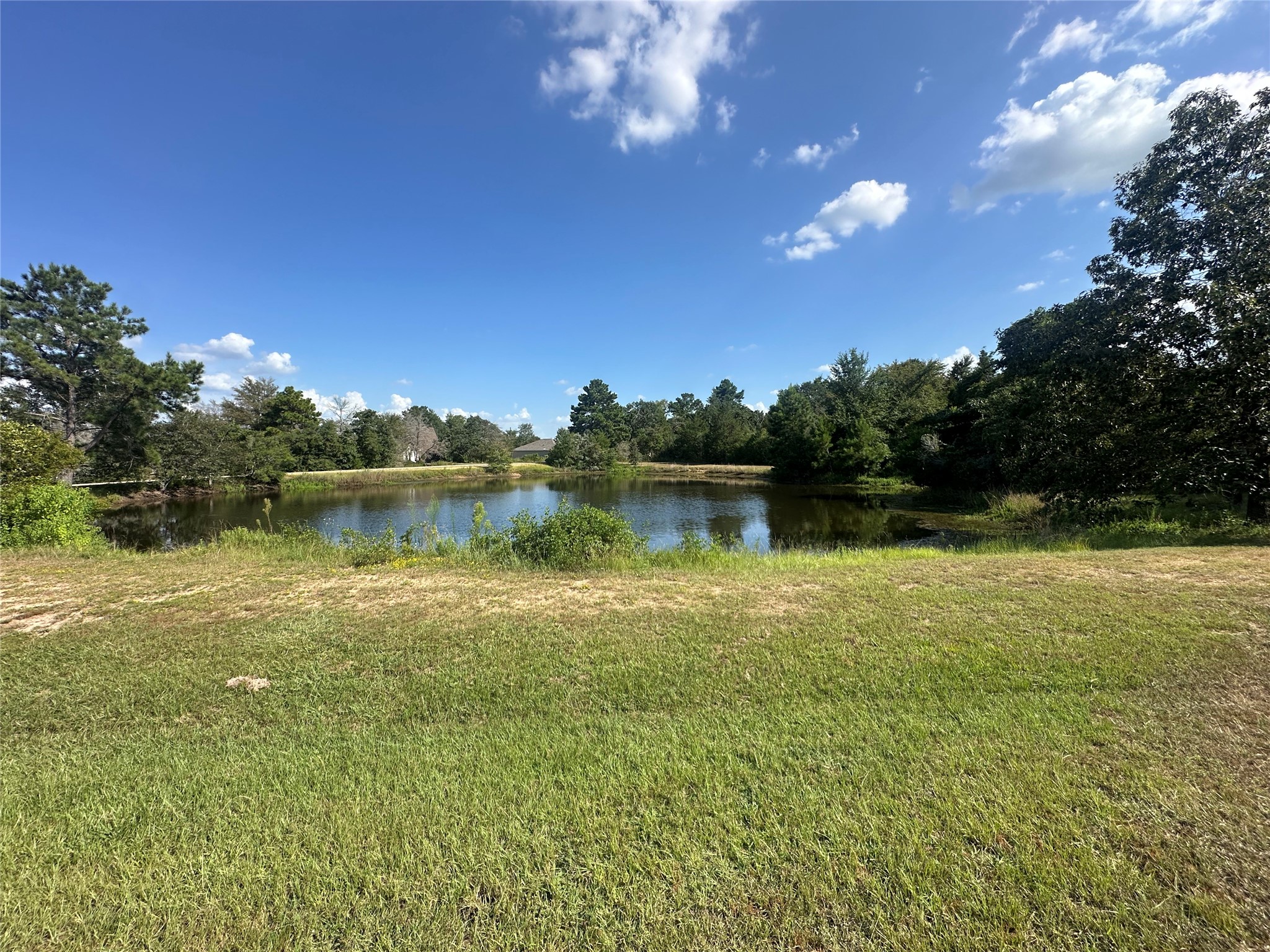 26546 Pin Oak Drive Hempstead, TX 77445 - Photo 10 of 12 a view of a lake with a big yard