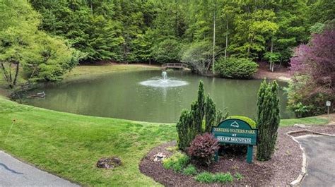 Lot 251 Owl Ridge Way Jasper, GA 30143 - Photo 2 of 10