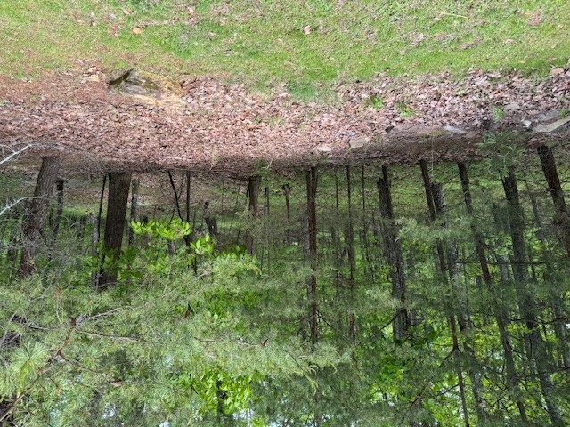 Lot 251 Owl Ridge Way Jasper, GA 30143 - Photo 5 of 10