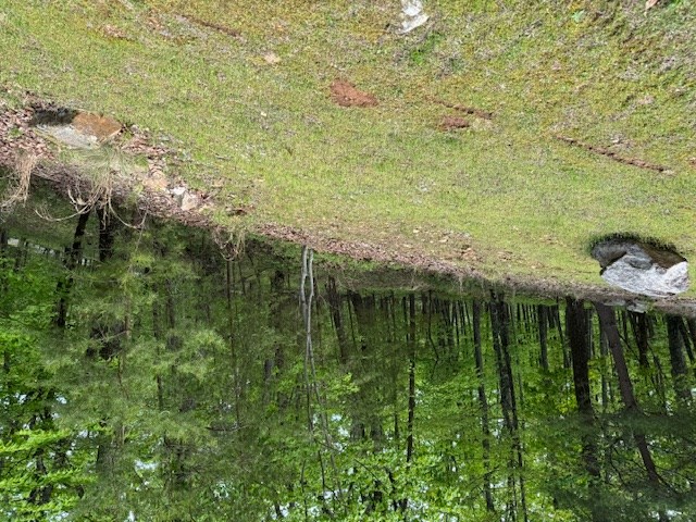 Lot 251 Owl Ridge Way Jasper, GA 30143 - Photo 6 of 10