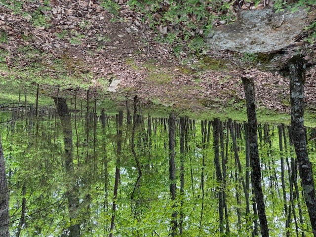 Lot 251 Owl Ridge Way Jasper, GA 30143 - Photo 7 of 10