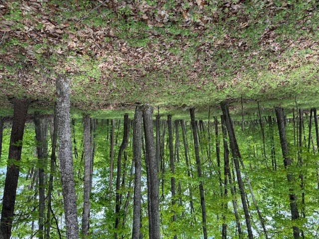 Lot 251 Owl Ridge Way Jasper, GA 30143 - Photo 8 of 10