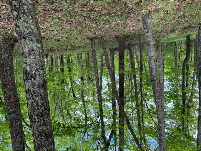 Lot 251 Owl Ridge Way Jasper, GA 30143 - Photo 9 of 10