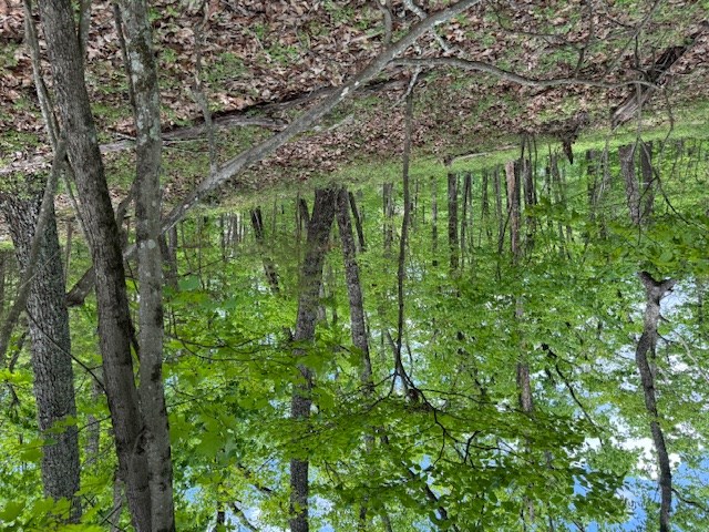 Lot 251 Owl Ridge Way Jasper, GA 30143 - Photo 10 of 10