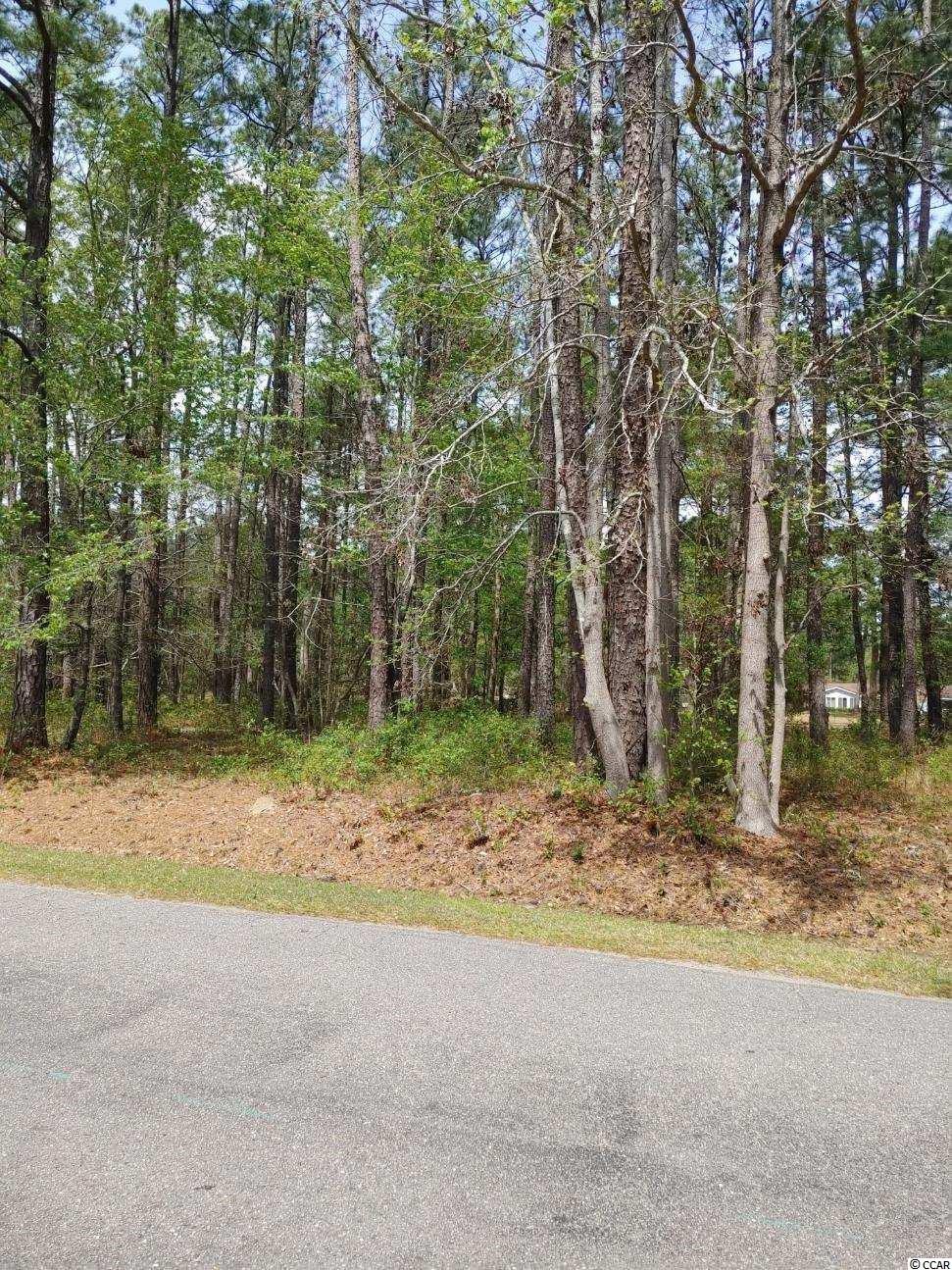 Lot 388 Francis Parker Road Georgetown, SC 29440 - Photo 1 of 2 Gallery Image 1