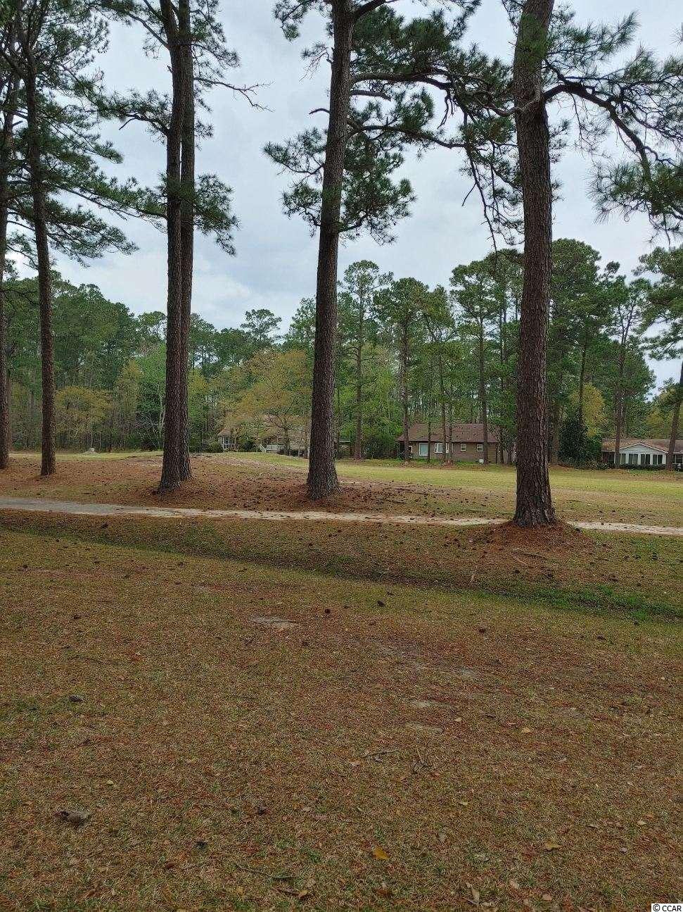 Lot 388 Francis Parker Road Georgetown, SC 29440 - Photo 2 of 2 Gallery Image 2