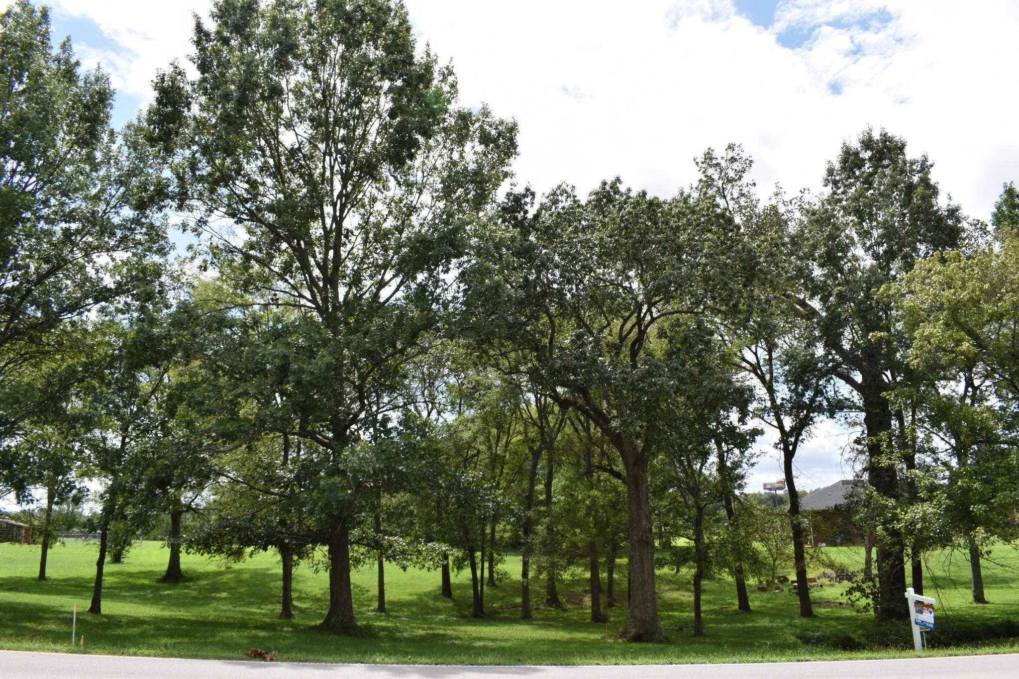 1340 Northwest Rutland Road Mount Juliet, TN 37122 - Photo 1 of 7 View from NW Rutland Road