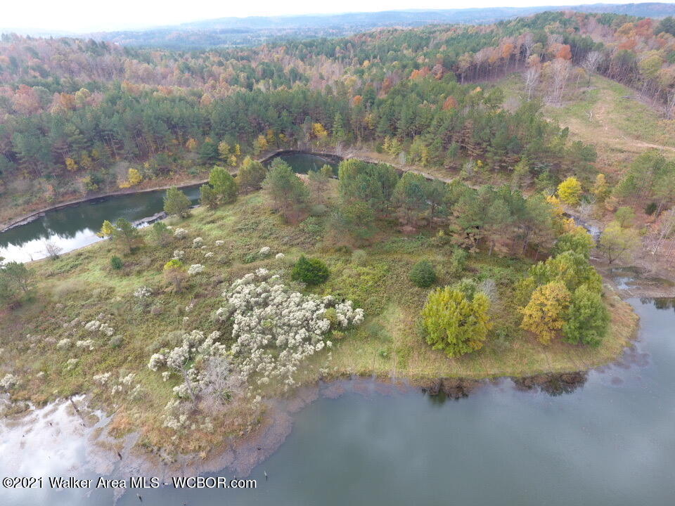 0 Homestead Road Eldridge, AL 35554 - Photo 6 of 8 Gallery Image 6