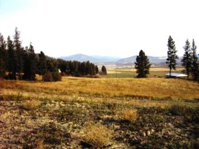 Lot 6 Heine Road Chewelah, WA 99109 - Photo 1 of 7 Gallery Image 1
