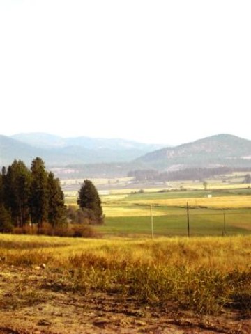 Lot 6 Heine Road Chewelah, WA 99109 - Photo 2 of 7 Gallery Image 2