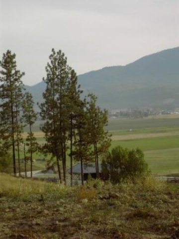 Lot 6 Heine Road Chewelah, WA 99109 - Photo 3 of 7 Gallery Image 3
