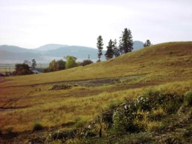 Lot 6 Heine Road Chewelah, WA 99109 - Photo 4 of 7 Gallery Image 4