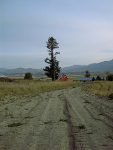 Lot 6 Heine Road Chewelah, WA 99109 - Photo 5 of 7 Gallery Image 5