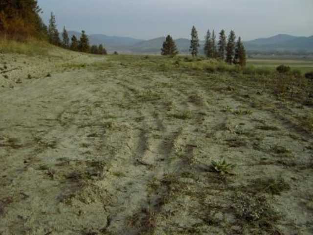 Lot 6 Heine Road Chewelah, WA 99109 - Photo 7 of 7 Gallery Image 7