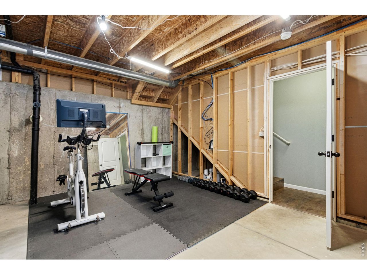 6837 McClellan Road Wellington, CO 80549 - Photo 19 of 23 Ready for your vision! The unfinished basement offers potential for future living space, a home gym, recreation room, or abundant storage.