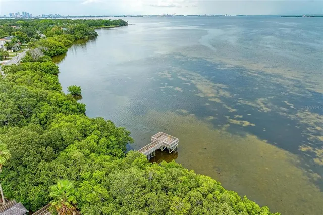 $462,500 | 2926 Bayshore Pointe Drive, Tampa, FL 33611