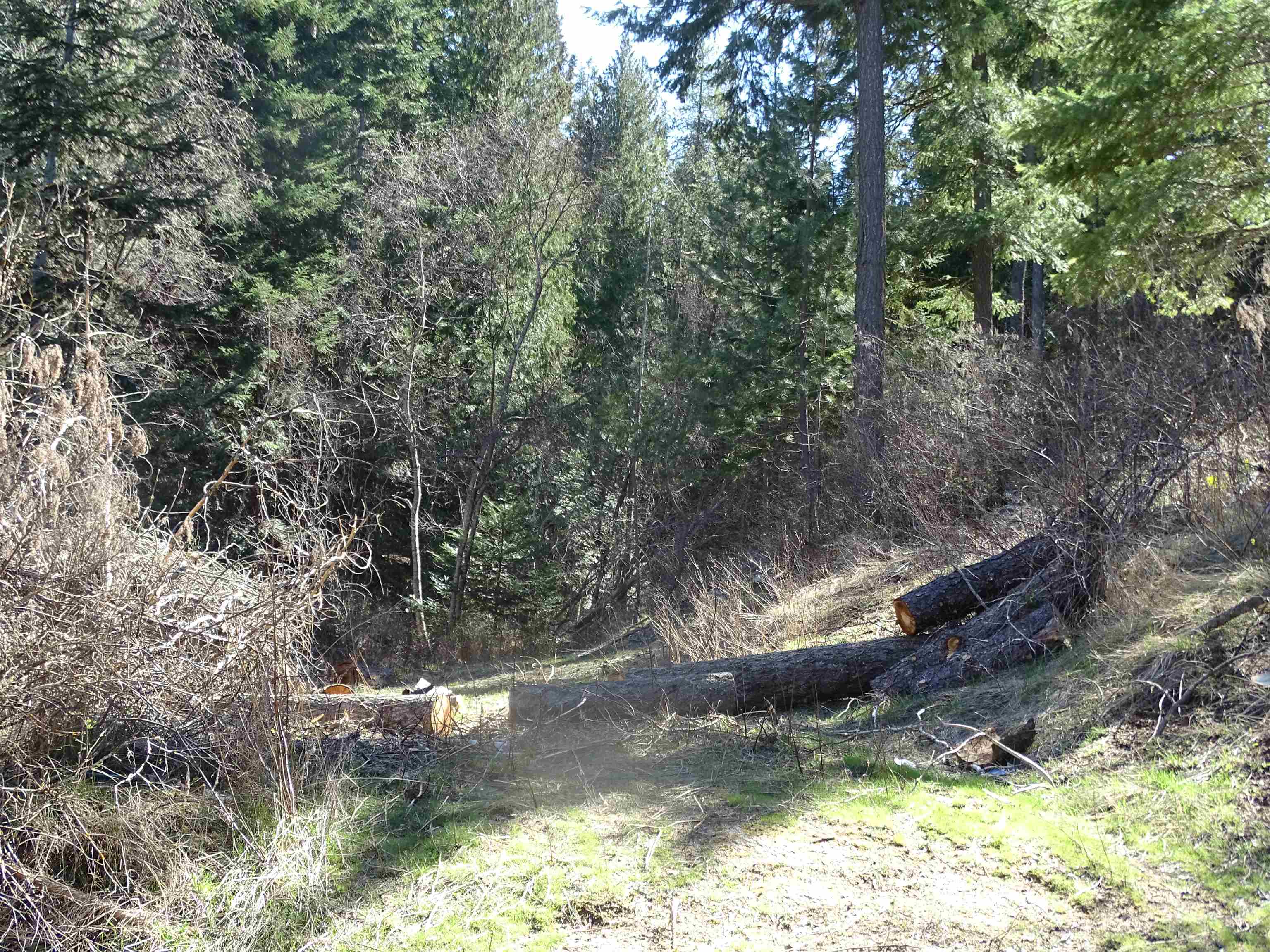 17208 East Blanchard Road Elk, WA 99009 - Photo 15 of 28