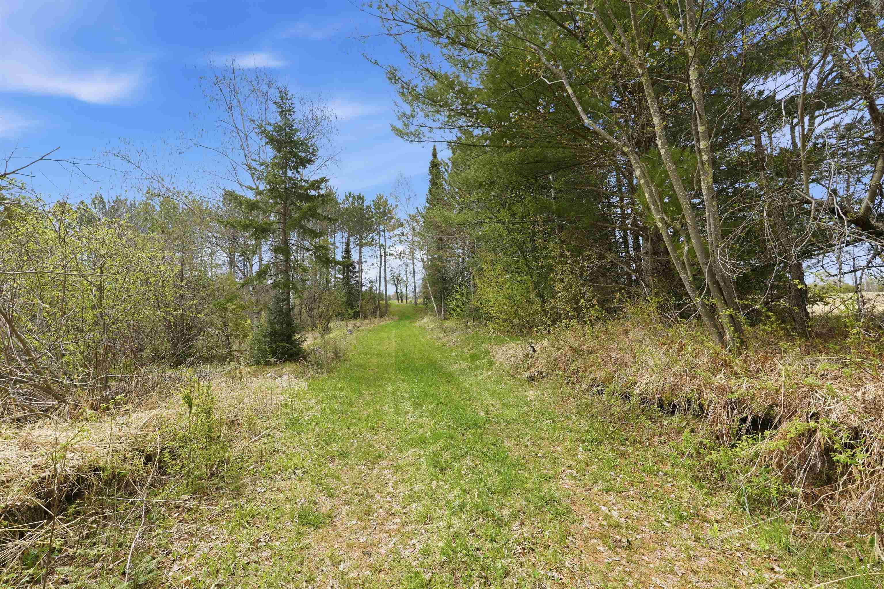 W2477 Bonde Avenue Rib Lake, WI 54470 - Photo 12 of 14
