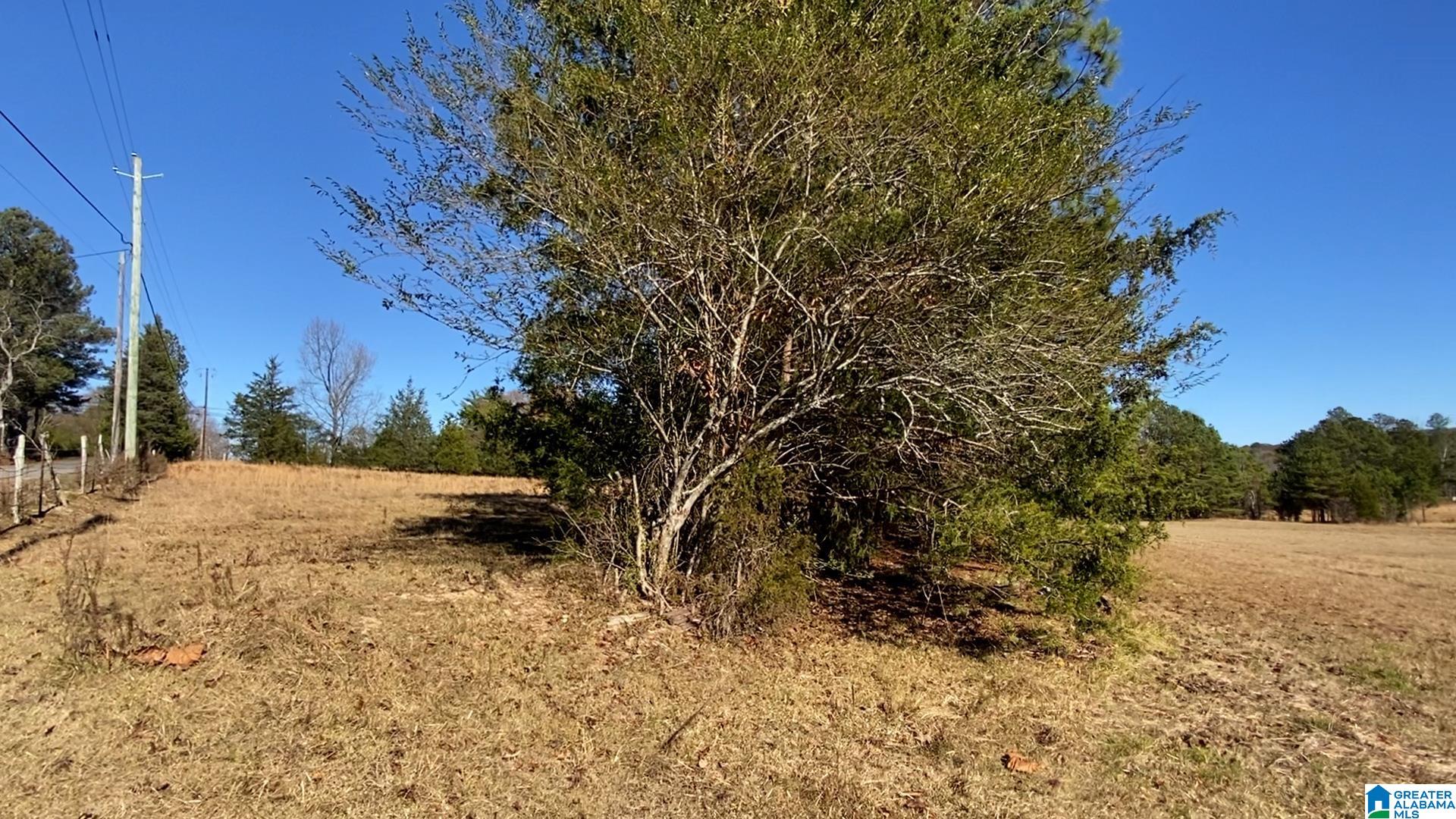 132 Highway, Unit 6 Oneonta, AL 35121 - Photo 5 of 20