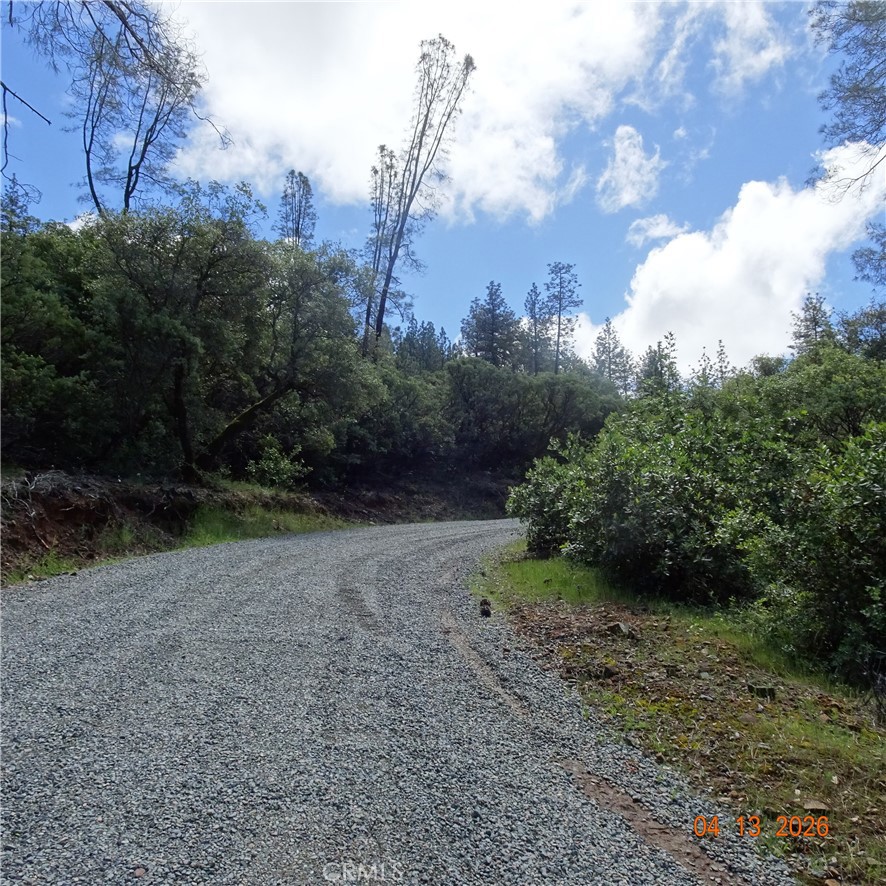 0 Powell Ridge Road Oroville, CA 95966 - Photo 8 of 9
