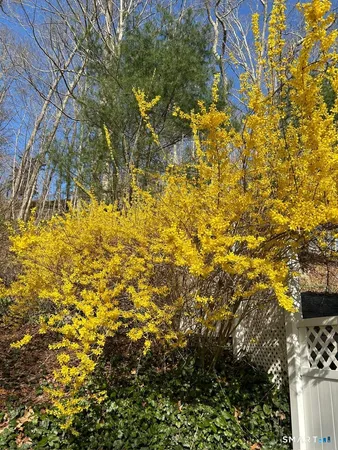 $699,900 | 85 McVeagh Road, Westbrook, CT 06498