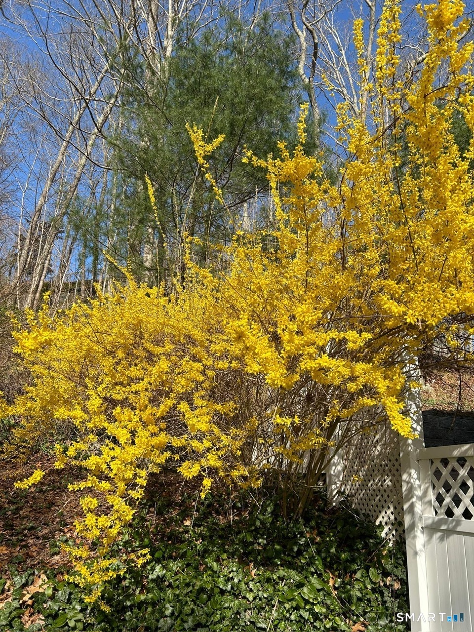 85 McVeagh Road Westbrook, CT 06498 - Photo 9 of 39 a view of a yard with plants and small fountain