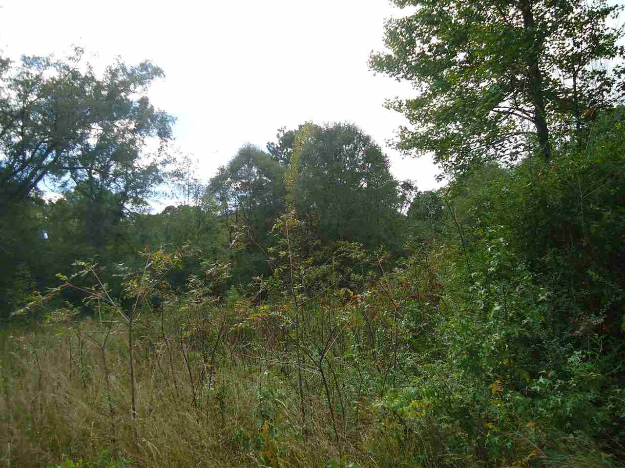 8046 Martinsville Road Wesson, MS 39191 - Photo 1 of 8 Photo 1