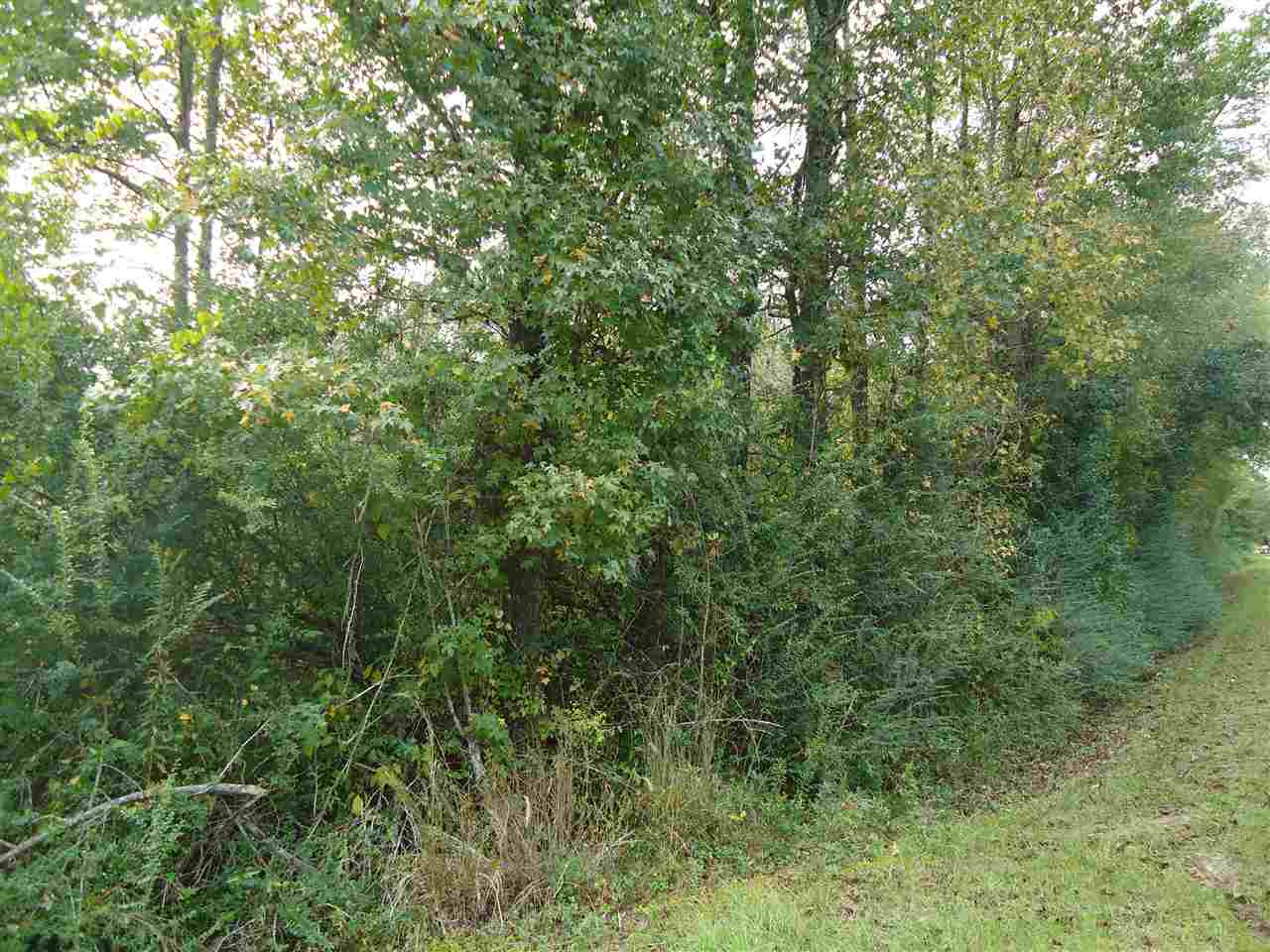 8046 Martinsville Road Wesson, MS 39191 - Photo 4 of 8 Photo 4