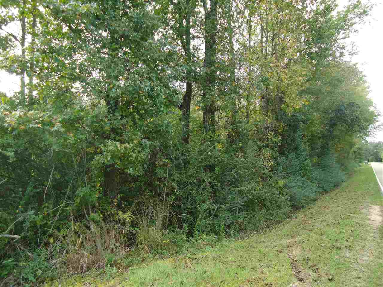 8046 Martinsville Road Wesson, MS 39191 - Photo 5 of 8 Photo 5