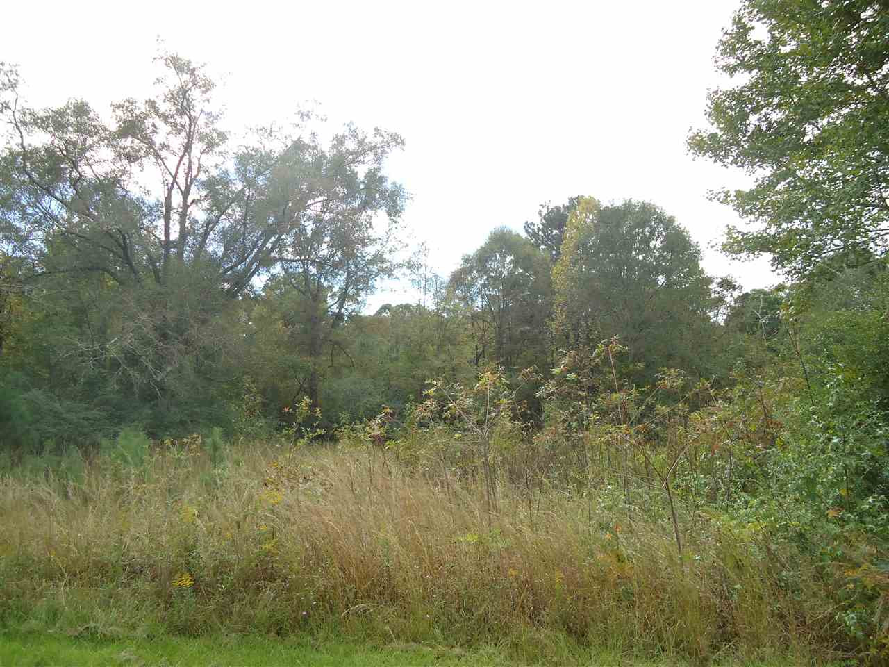 8046 Martinsville Road Wesson, MS 39191 - Photo 6 of 8 Photo 6