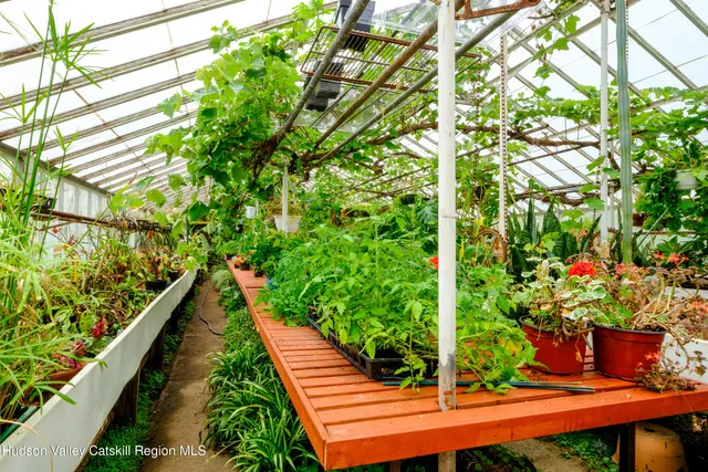 a backyard of a house with barbeque oven table and chairs