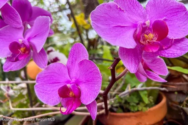 a living room with furniture and large window