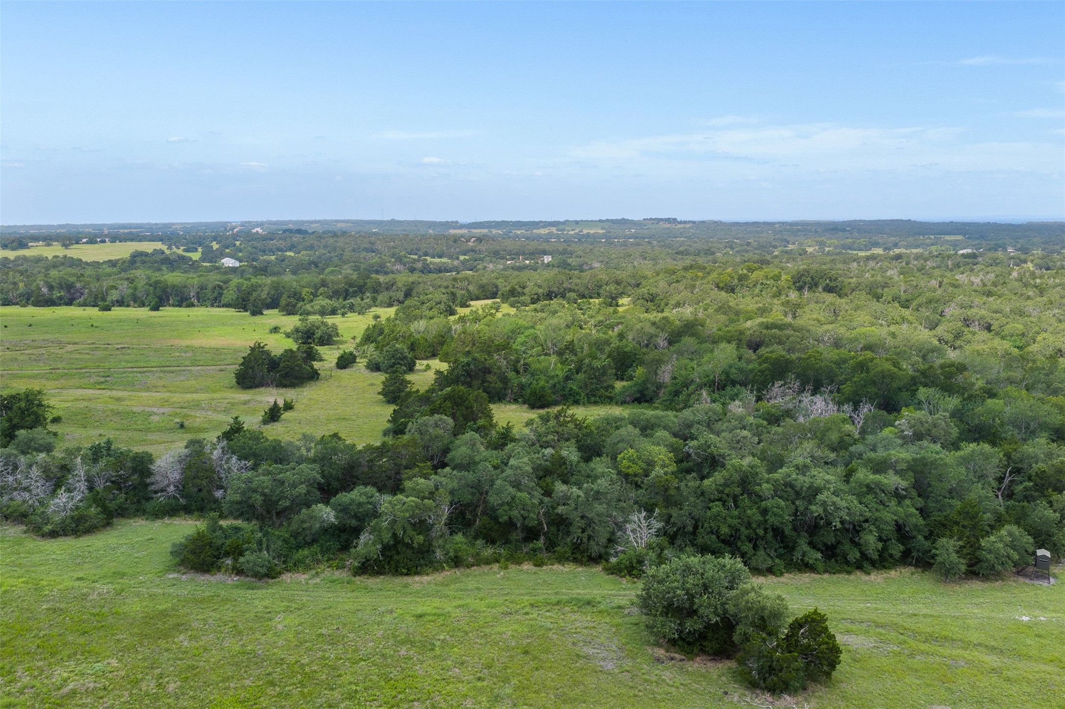0 Schuster Road Round Top, TX 78954 - Photo 6 of 26