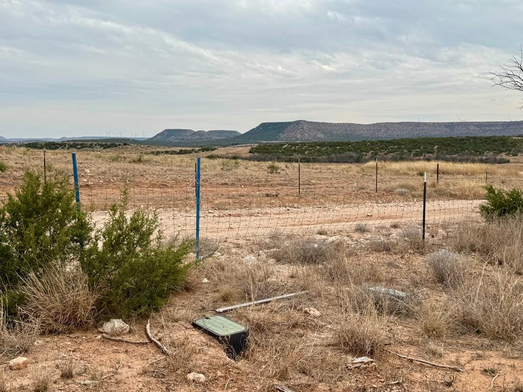 537 Lone Mills Road Robert Lee, TX 76945 - Photo 20 of 24 East Fenceline with the Coke Co. W