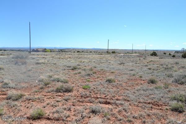 Tbd Freeman Hollow Snowflake, AZ 85937 - Photo 2 of 11