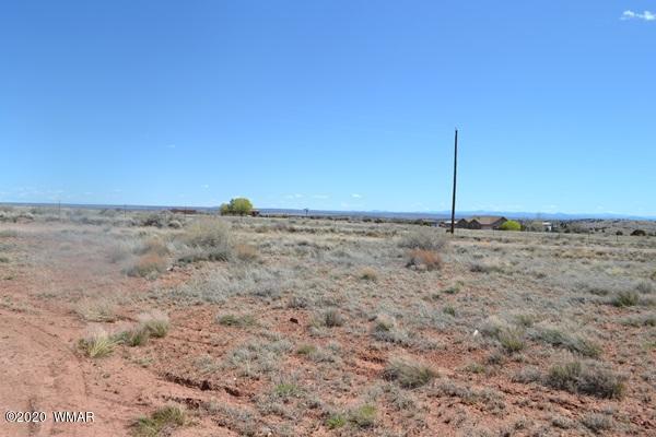 Tbd Freeman Hollow Snowflake, AZ 85937 - Photo 3 of 11