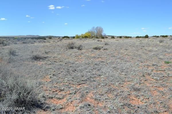 Tbd Freeman Hollow Snowflake, AZ 85937 - Photo 4 of 11