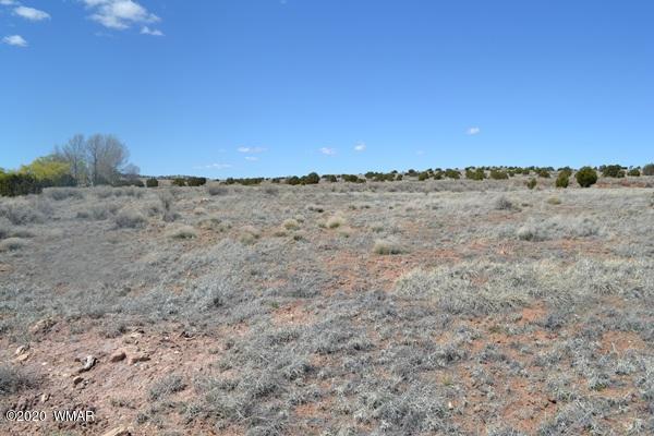 Tbd Freeman Hollow Snowflake, AZ 85937 - Photo 5 of 11