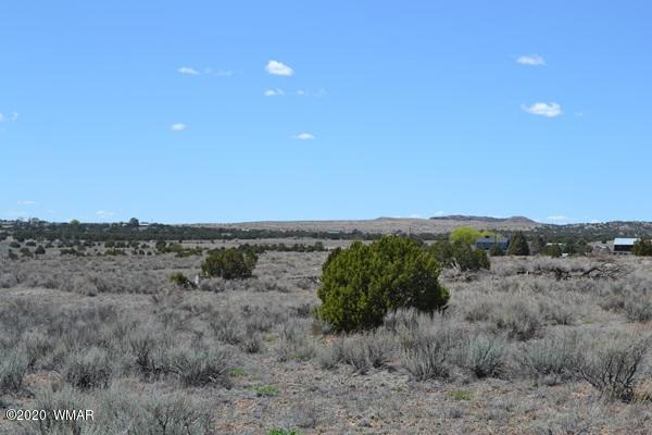 Tbd Freeman Hollow Snowflake, AZ 85937 - Photo 6 of 11