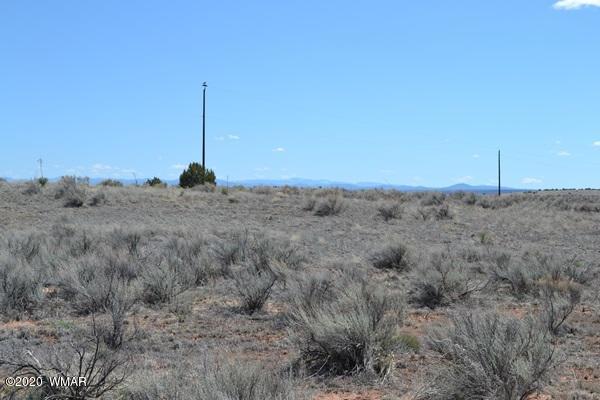Tbd Freeman Hollow Snowflake, AZ 85937 - Photo 7 of 11
