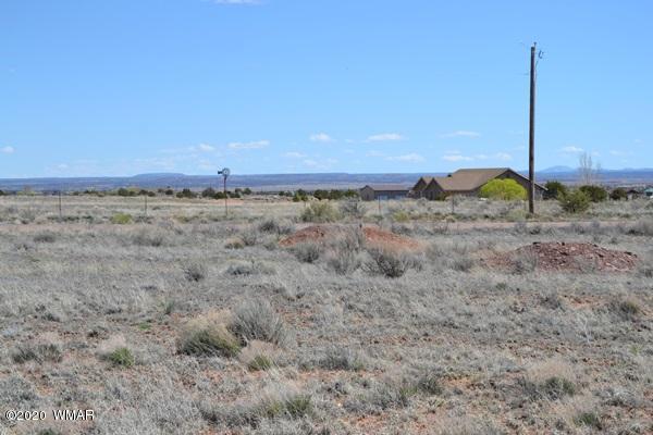 Tbd Freeman Hollow Snowflake, AZ 85937 - Photo 8 of 11