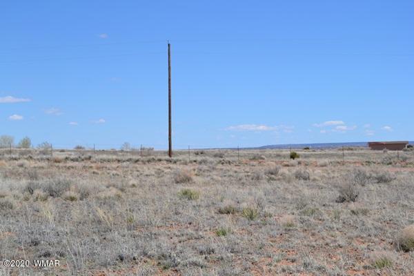 Tbd Freeman Hollow Snowflake, AZ 85937 - Photo 9 of 11