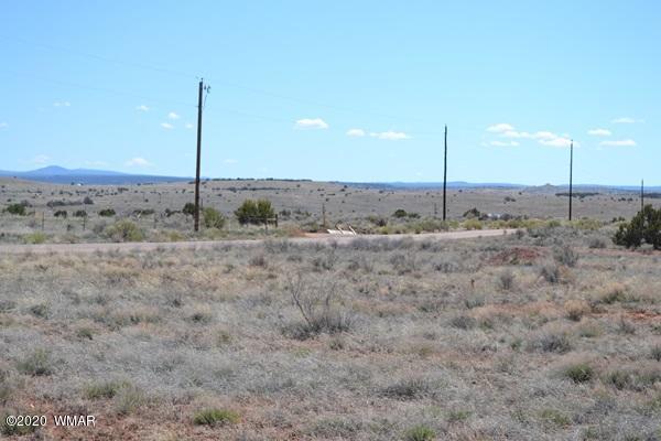 Tbd Freeman Hollow Snowflake, AZ 85937 - Photo 10 of 11