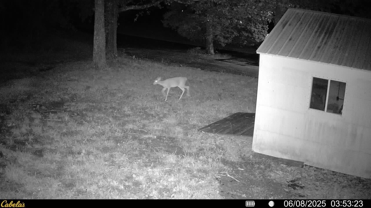 410 Ralph A Young Road Bowling Green, KY 42101 - Photo 46 of 46 Gallery Image 46