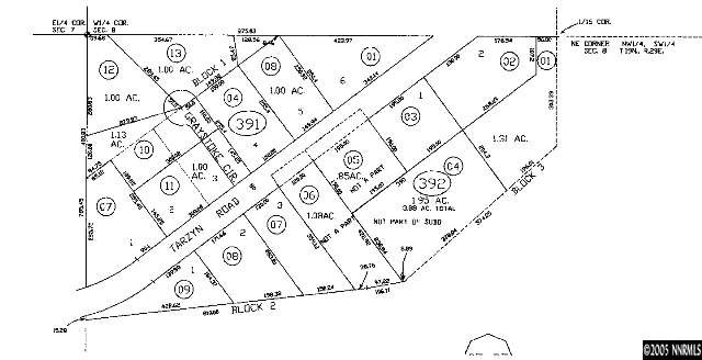 0 Tarzyn Road Fallon, NV 89406 - Photo 3 of 3 Photo 3