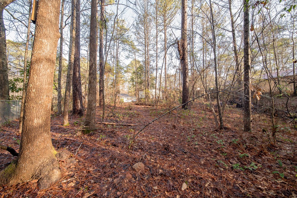 1022 Moore Road Columbus, GA 31904 - Photo 16 of 53 Gallery Image 16