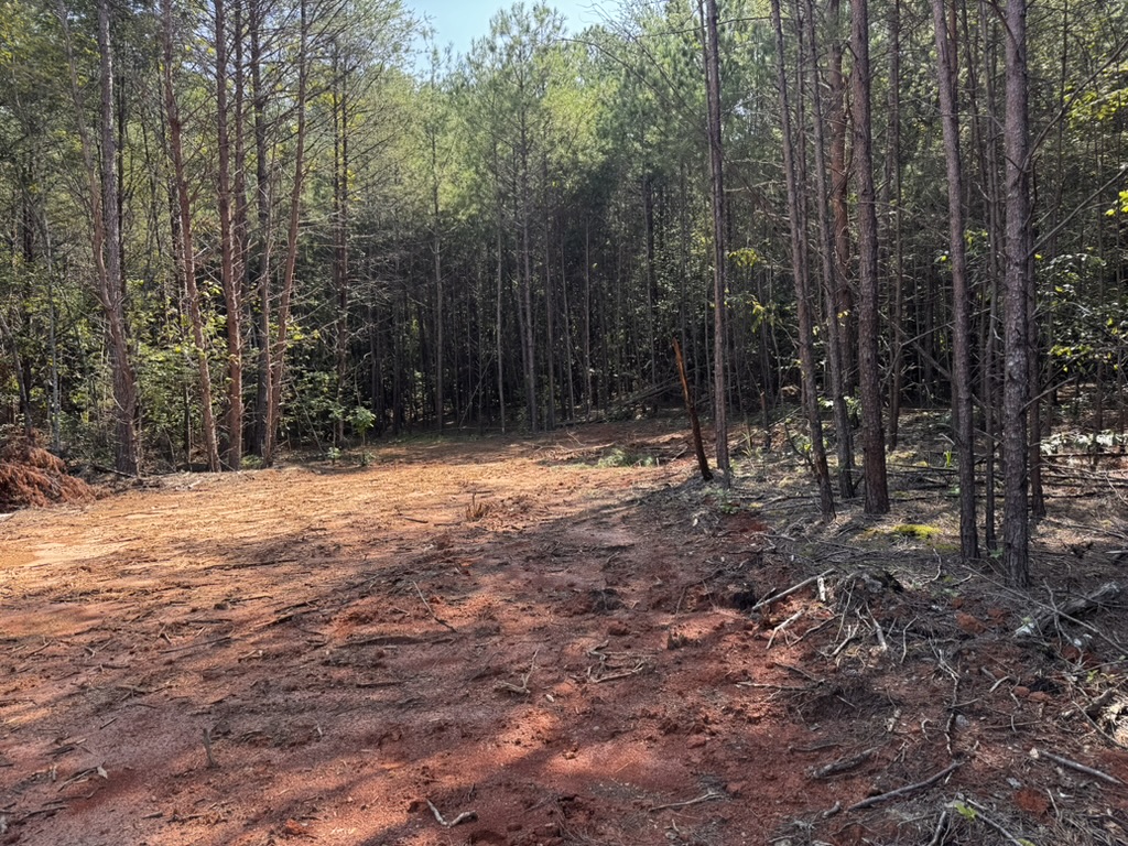 0 Dixon Road, Unit TRACT 3 Westminster, SC 29693 - Photo 7 of 7 Mature trees surround a cleared building site prepared for a new custom home.