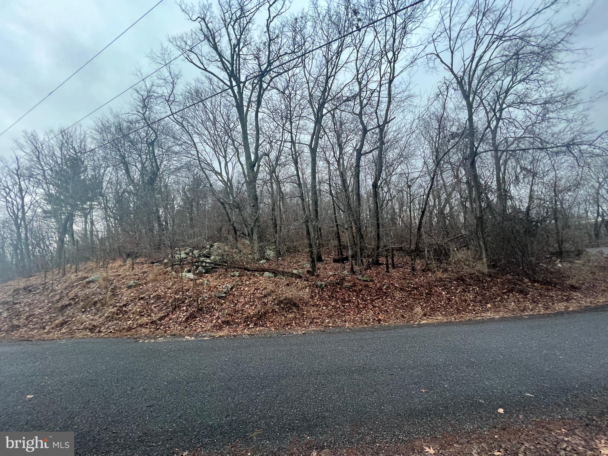 17629 Shirleys Knob Road Mapleton Depot, PA 17052 - Photo 5 of 6 a view of a forest filled with trees
