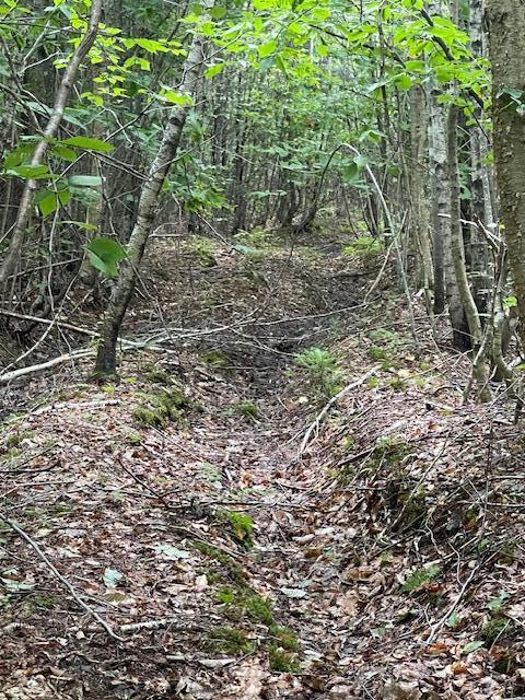 Lot 18-1 North Road Medford, ME 04463 - Photo 21 of 26 IMG_4949