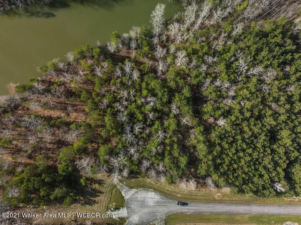 Lot#89 Stoney Point Road North Double Springs, AL 35553 - Photo 15 of 32 Gallery Image 15